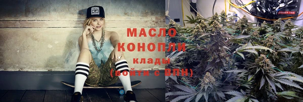 индика Армянск