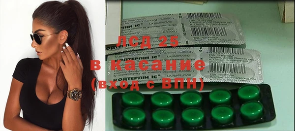 индика Армянск