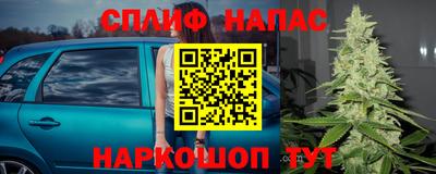 mdpv Можайск