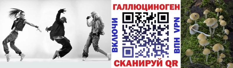 Псилоцибиновые грибы Cubensis наркотики Чебоксары