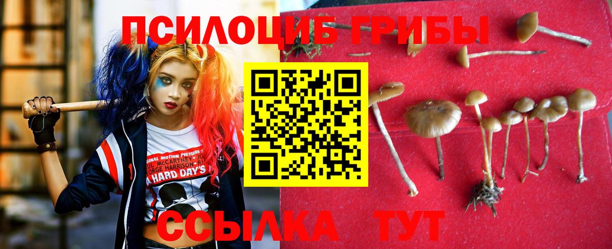 Псилоцибиновые грибы Magic Shrooms  закладка  Чебоксары  Галлюциногенные грибы GOLDEN TEACHER  Вход с VPN 